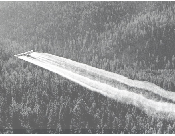 Foto avi&oacute;n fumigaci&oacute;n DDT (enunciado)