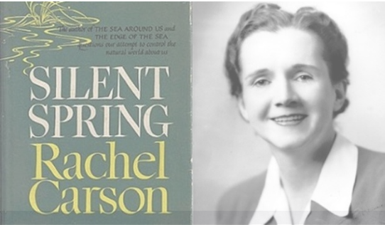 Portada del llibro Silent Spring