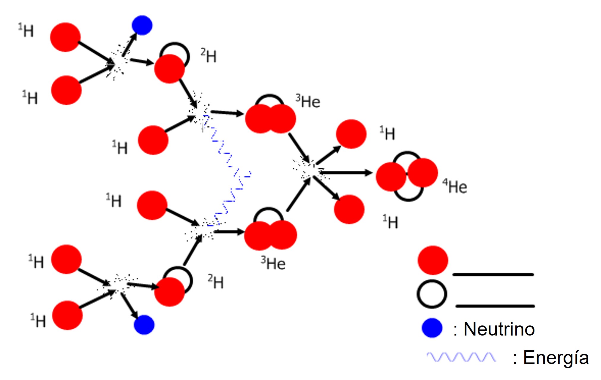esquema gr&aacute;fico del proceso de fusi&oacute;n que se produce en las estrellas_Cast
